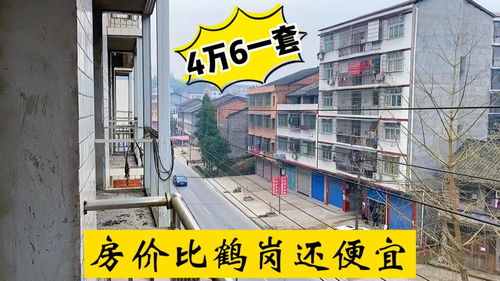 四川小城驚現(xiàn)4.6萬三室一廳，房價竟比鶴崗還低
